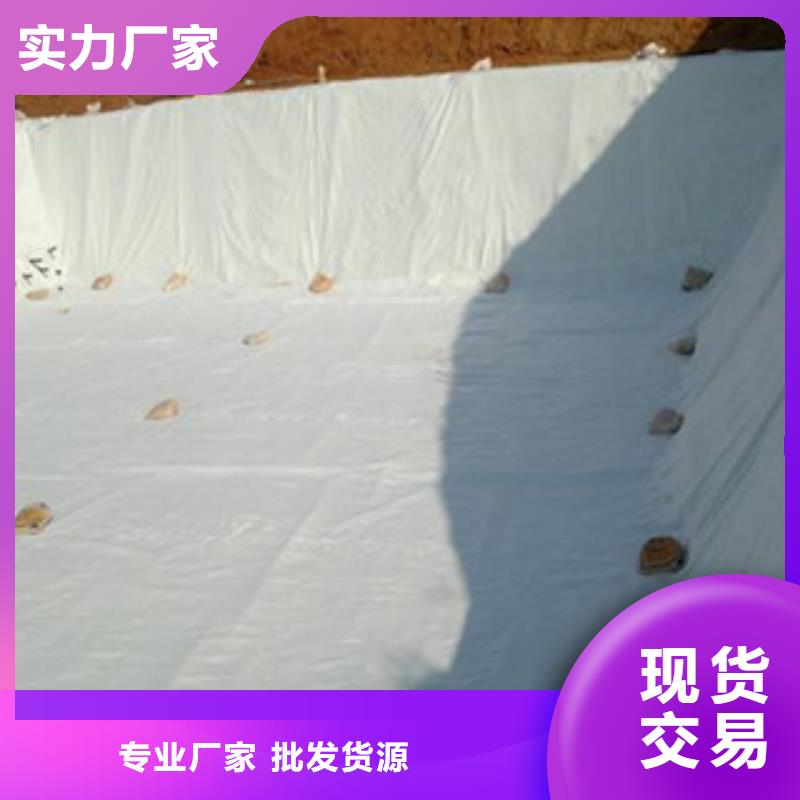 土工布【玻纤土工格栅】品质过硬