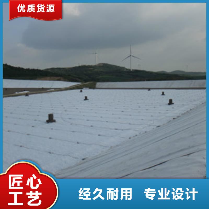 土工布塑料土工格栅产地货源