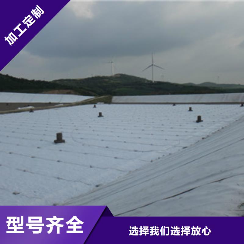 土工布塑料土工格栅售后无忧
