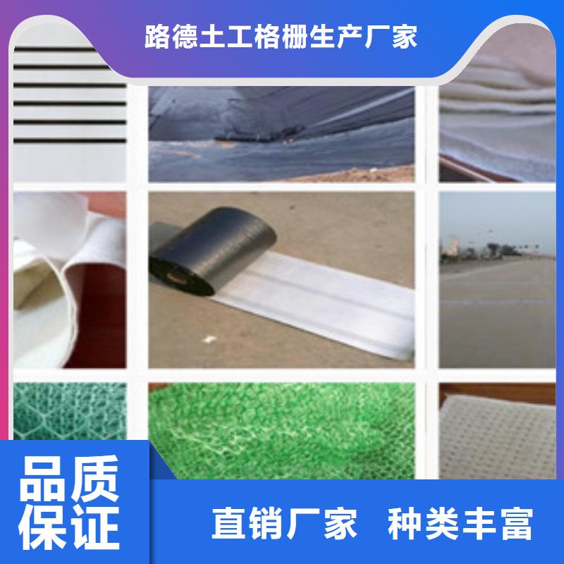 土工布钢塑土工格栅海量现货