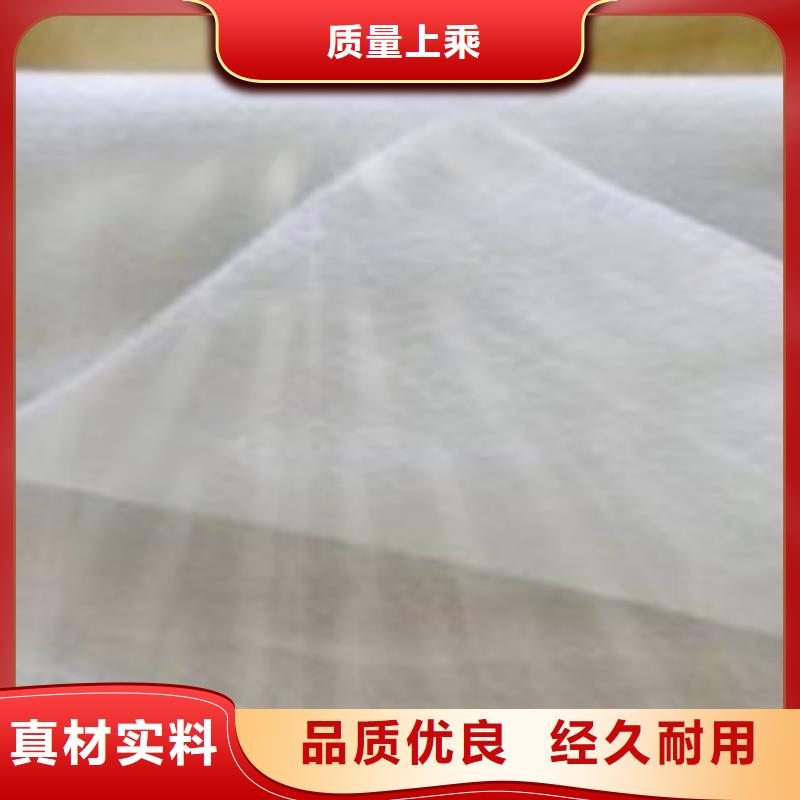 土工布玻纤土工格栅现货实拍