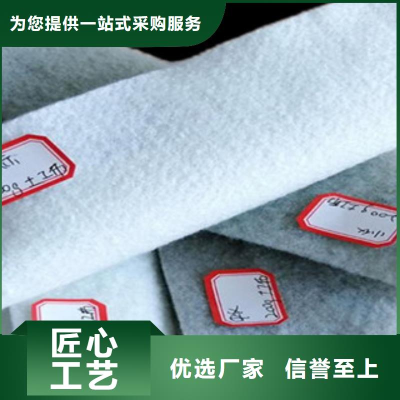 【土工布】塑料土工格栅欢迎来电咨询