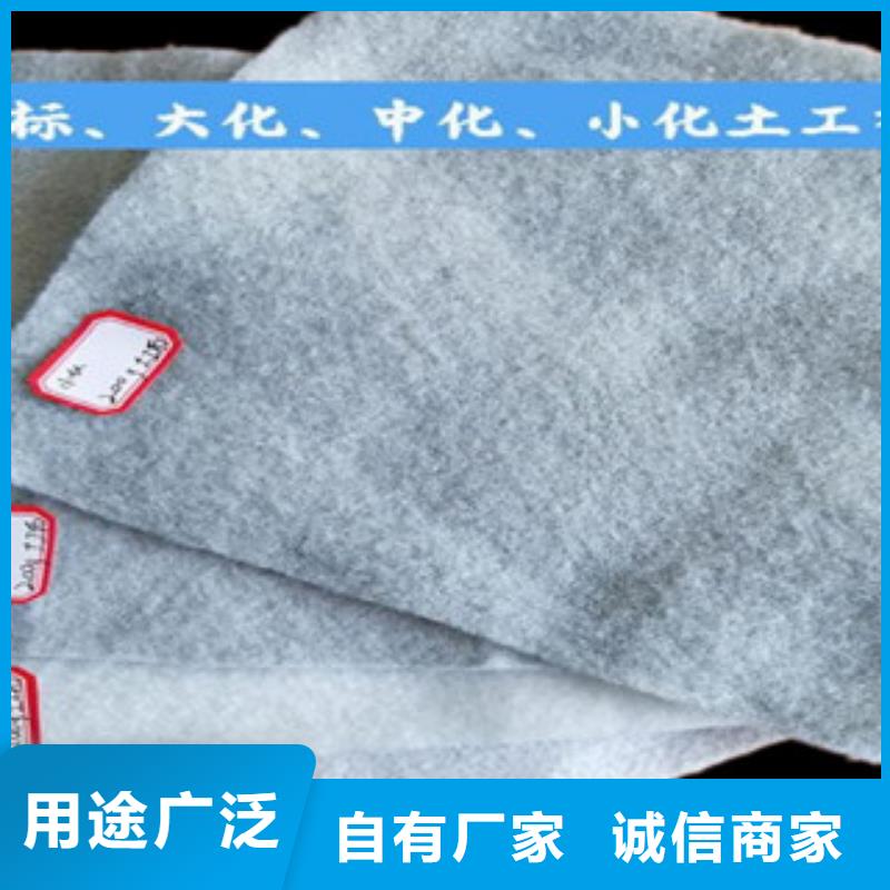 土工布_【玻纤土工格栅】拥有核心技术优势