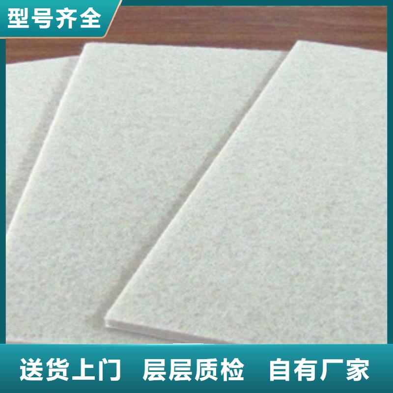 土工布钢塑土工格栅海量现货