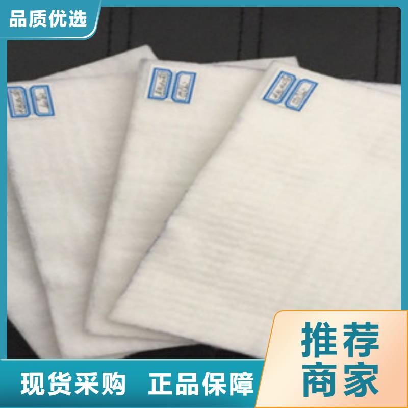土工布塑料土工格栅精挑细选好货