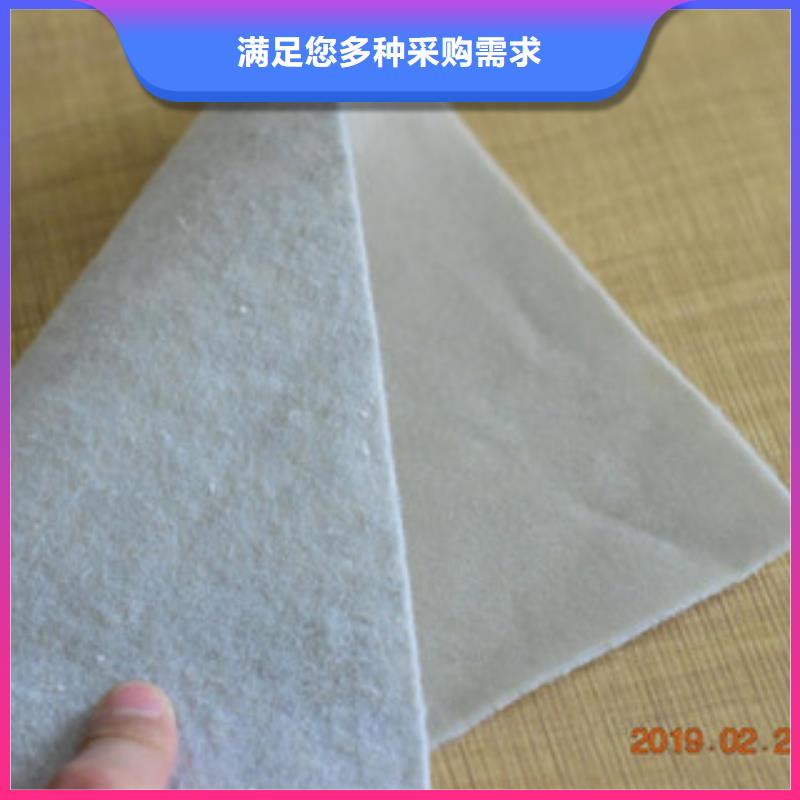土工布钢塑土工格栅好厂家有担当