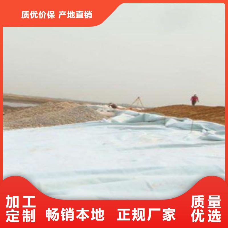 土工布_塑料土工格栅生产经验丰富