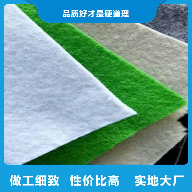 土工布塑料土工格栅质优价保