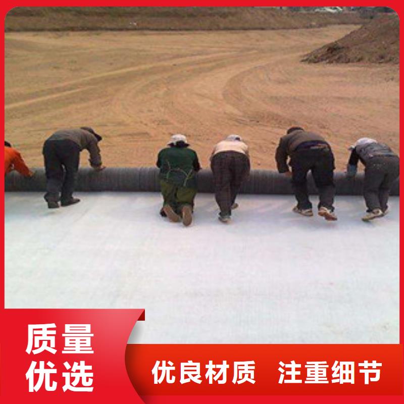 膨润土防水毯钢塑土工格栅送货上门