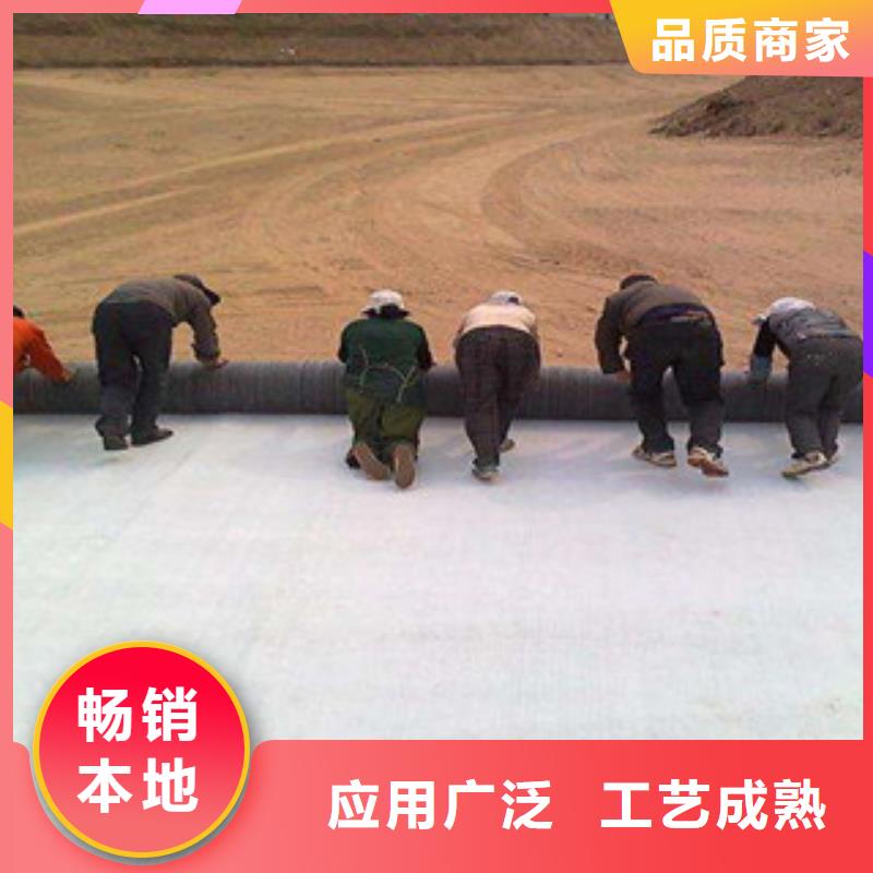膨润土防水毯钢塑土工格栅为您精心挑选