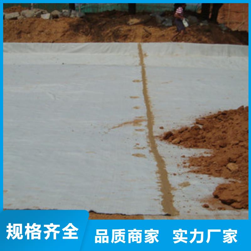 膨润土防水毯_钢塑土工格栅品质服务诚信为本
