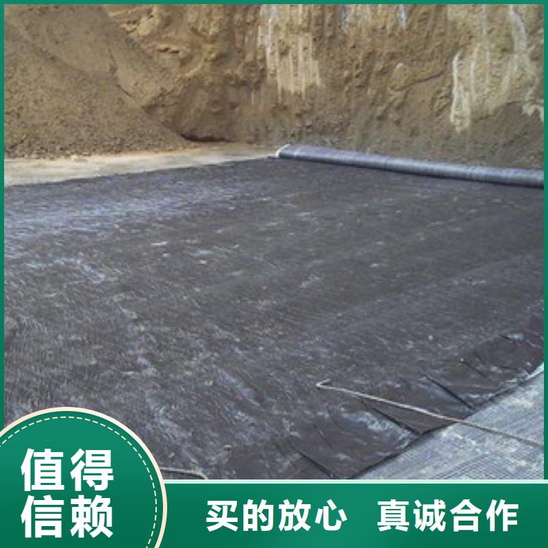 【膨润土防水毯】三维植被网多年厂家可靠
