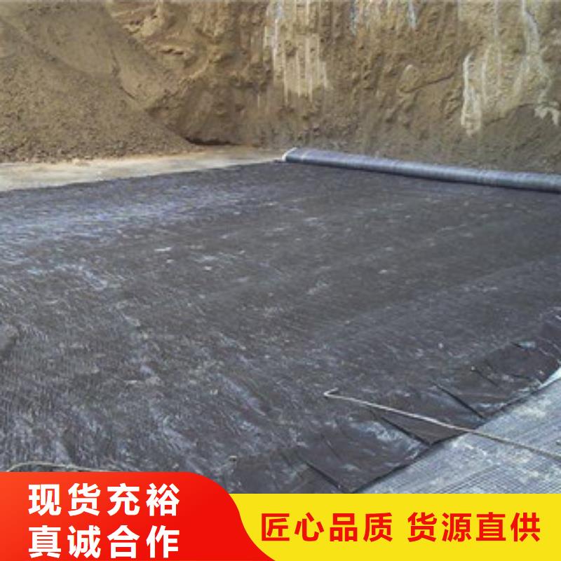 膨润土防水毯三维植被网专业生产厂家
