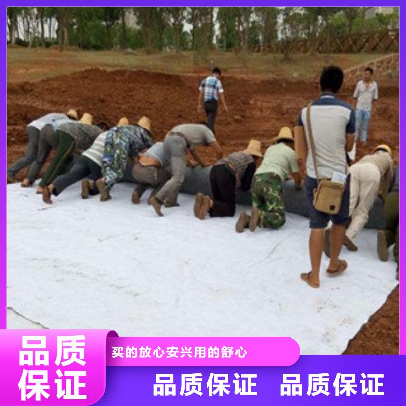 膨润土防水毯【塑料土工格栅】售后服务完善