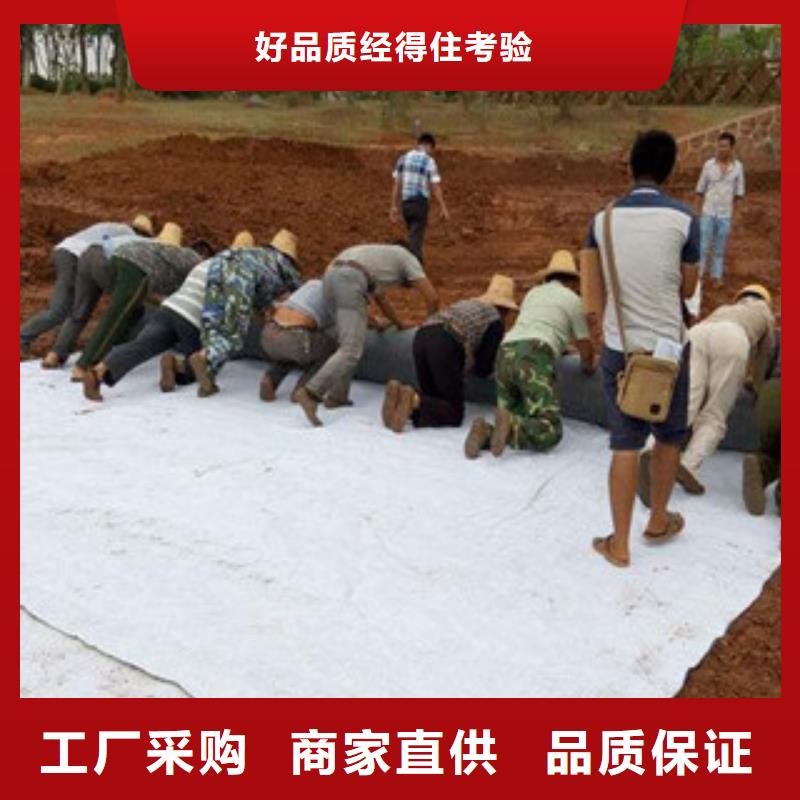 膨润土防水毯-塑料土工格栅精工细致打造