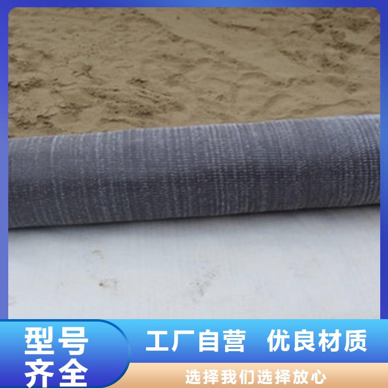 膨润土防水毯塑料排水板实力厂家直销