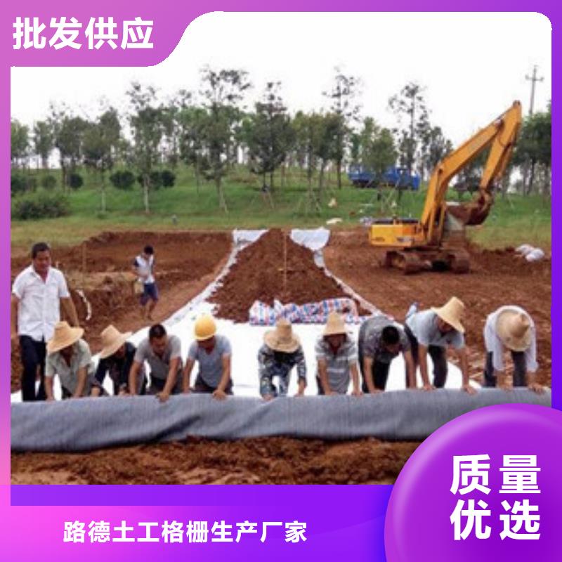 膨润土防水毯玻纤土工格栅来图定制量大从优