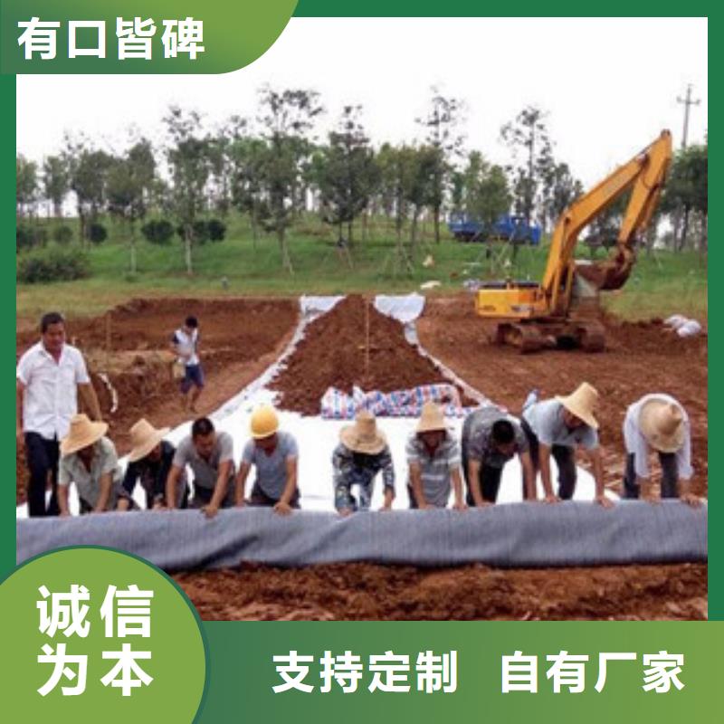 【膨润土防水毯】三维植被网多年厂家可靠
