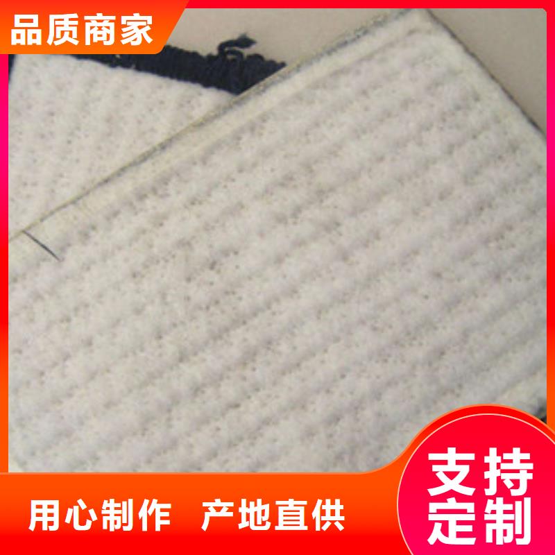 膨润土防水毯玻纤土工格栅实体诚信经营