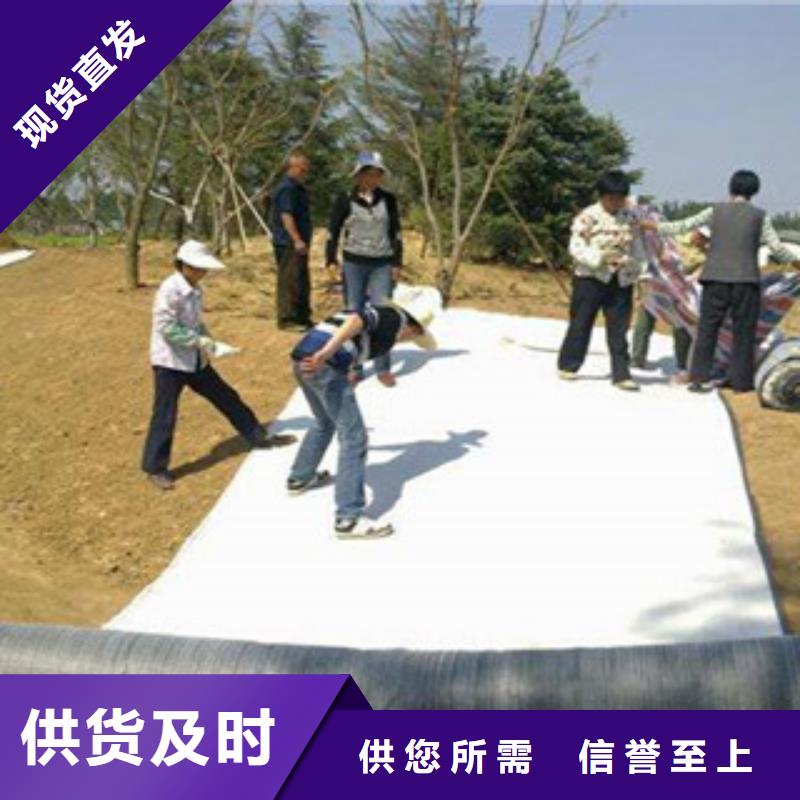 膨润土防水毯钢塑土工格栅为您精心挑选