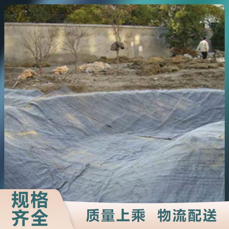 【膨润土防水毯】三维植被网多年厂家可靠