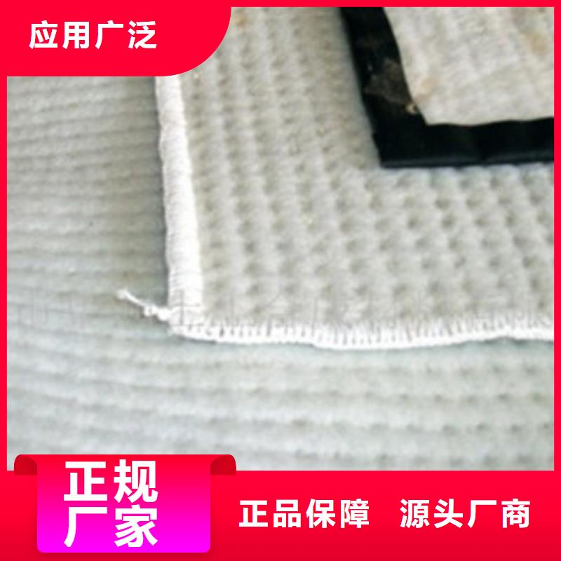 【膨润土防水毯】三维植被网高品质诚信厂家