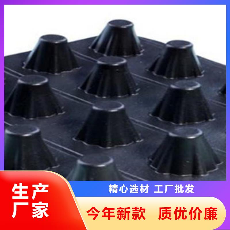 塑料排水板_玻纤土工格栅严选材质