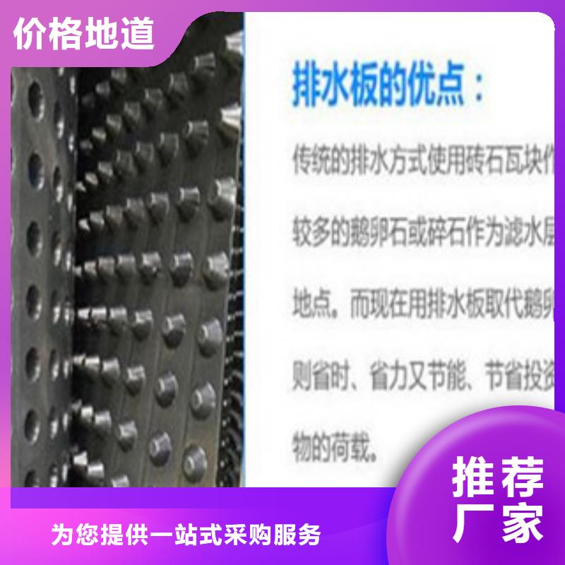 【塑料排水板塑料土工格栅货真价实】