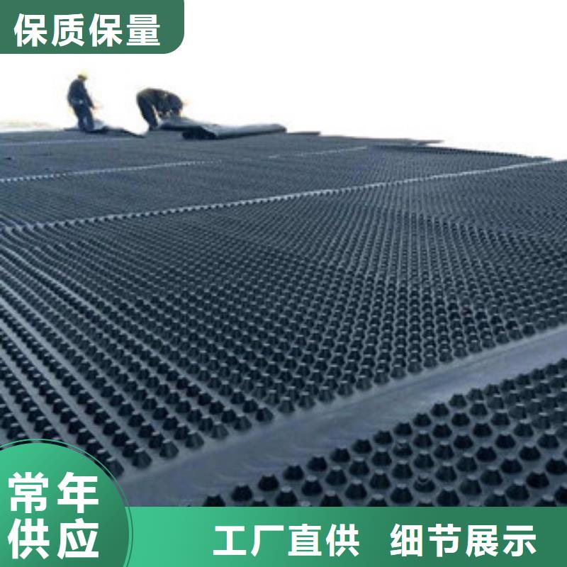 塑料排水板好货有保障