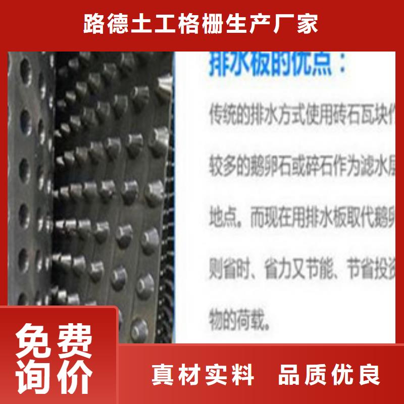 塑料排水板钢塑土工格栅厂家现货批发