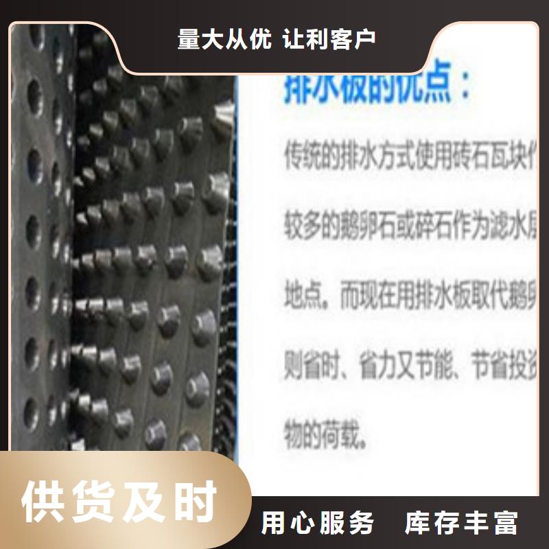 塑料排水板钢塑土工格栅质优价保