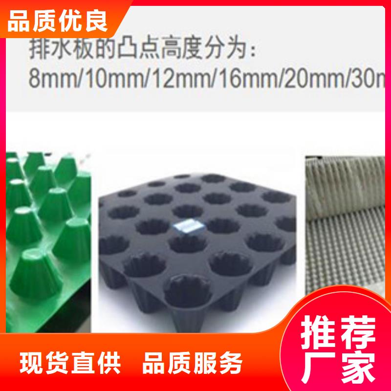 塑料排水板钢塑土工格栅质优价保