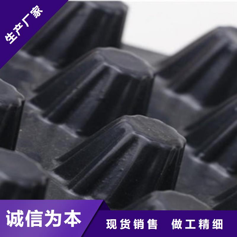 塑料排水板钢塑土工格栅厂家现货批发
