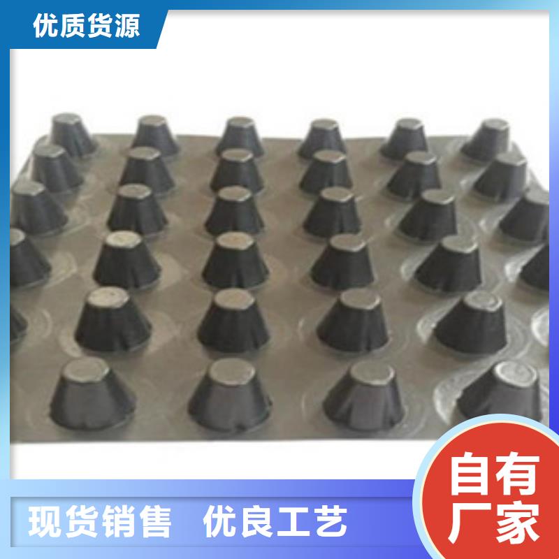塑料排水板塑料土工格栅厂家十分靠谱