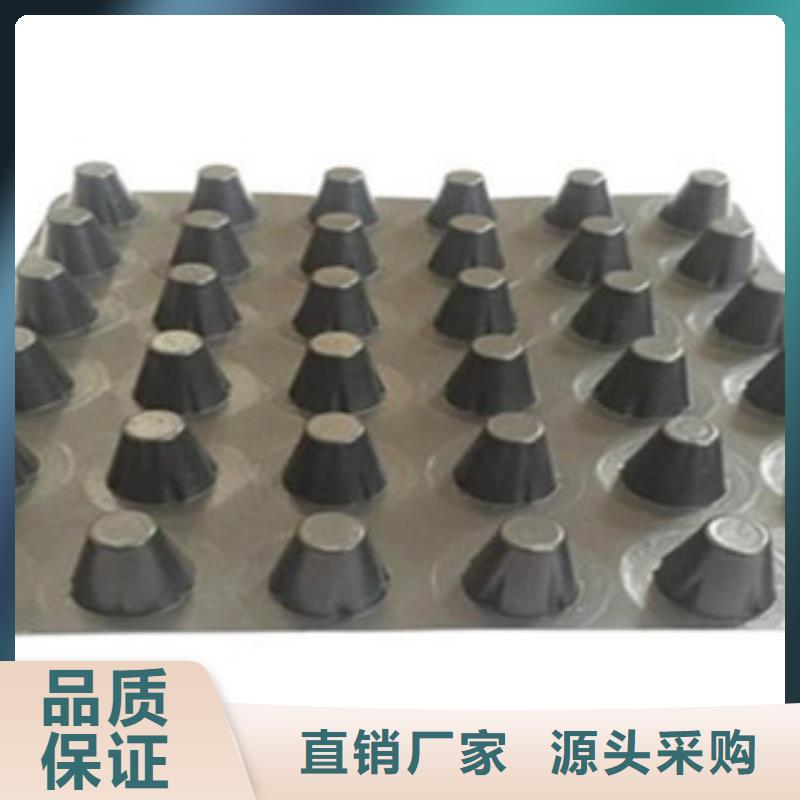 【塑料排水板塑料土工格栅货真价实】