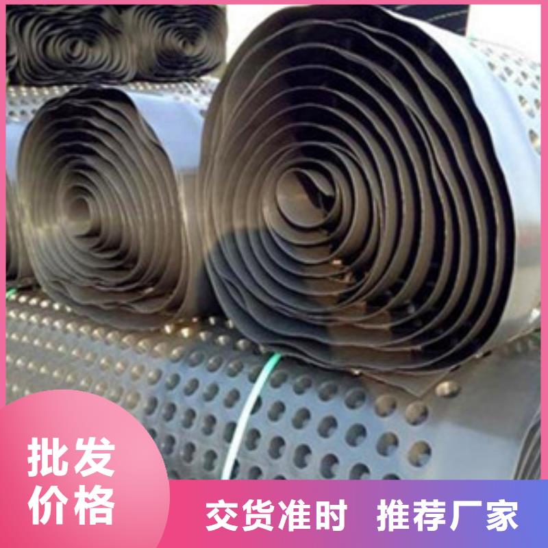 塑料排水板钢塑土工格栅质优价保