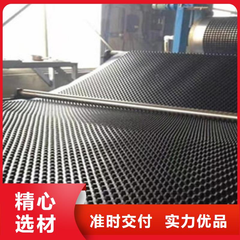 塑料排水板钢塑土工格栅质优价保
