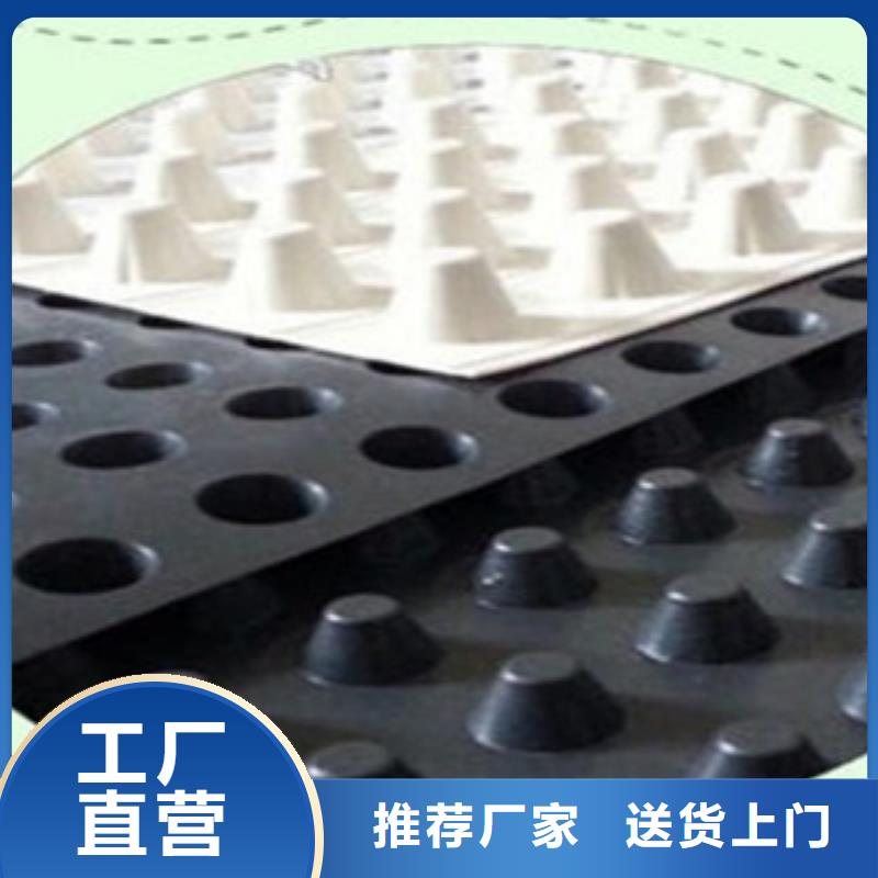 塑料排水板玻纤土工格栅用心做好每一件产品
