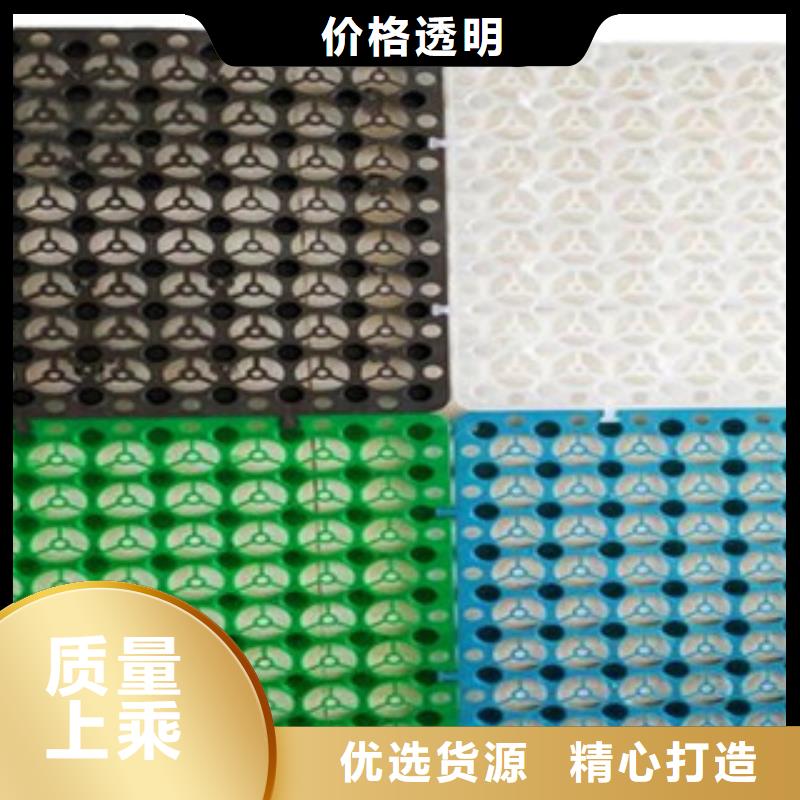 【塑料排水板玻纤土工格栅诚信商家】