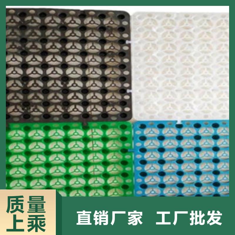 塑料排水板钢塑土工格栅厂家现货批发
