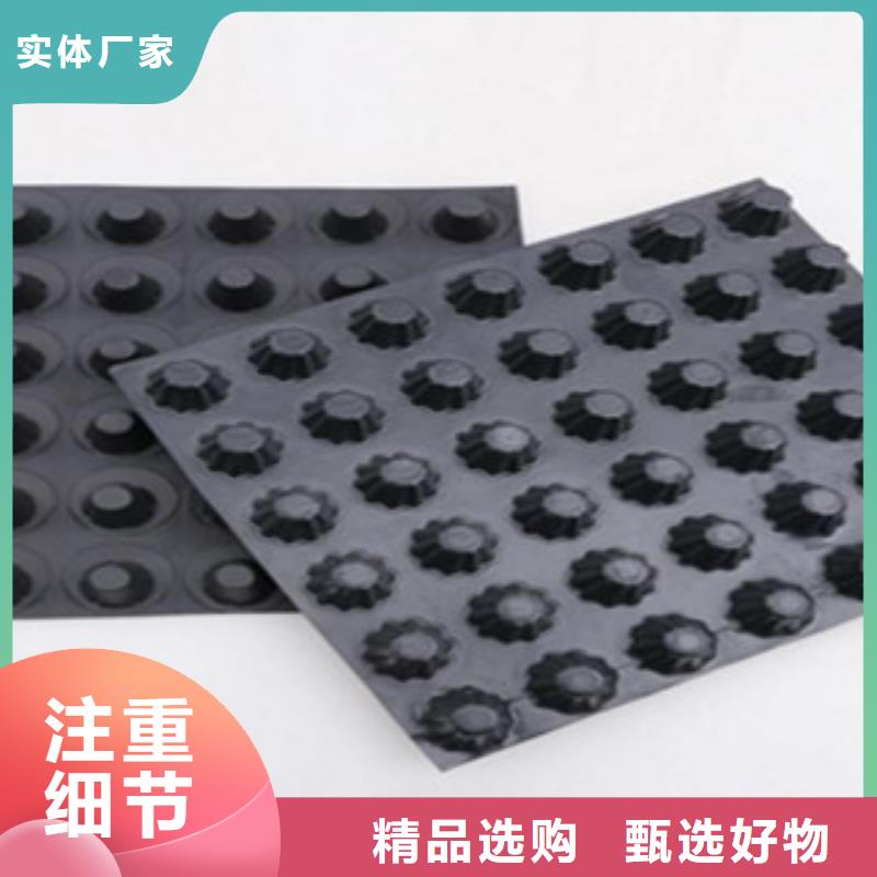 塑料排水板,三维植被网优选厂家