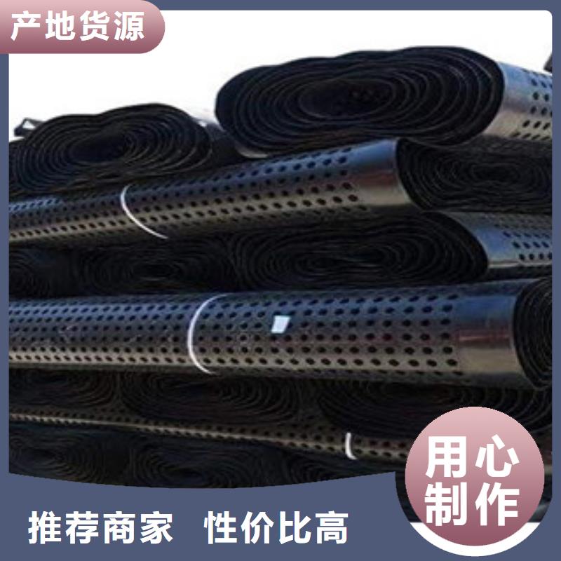塑料排水板三维植被网满足多种行业需求