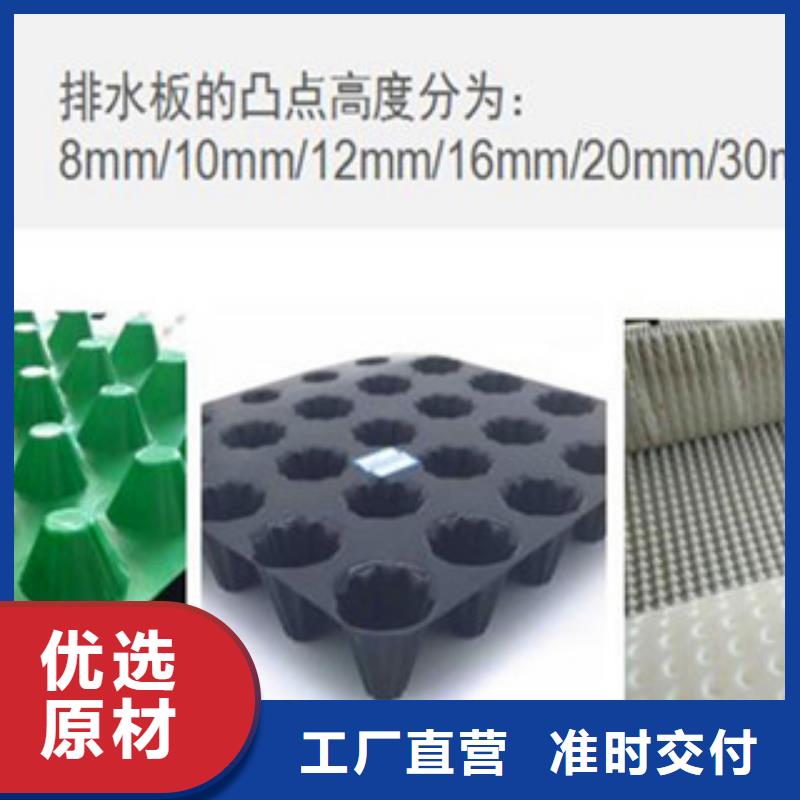 塑料排水板钢塑土工格栅质优价保