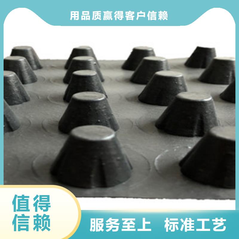 塑料排水板钢塑土工格栅质优价保