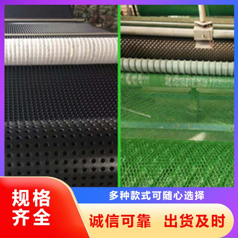 塑料排水板塑料土工格栅畅销当地