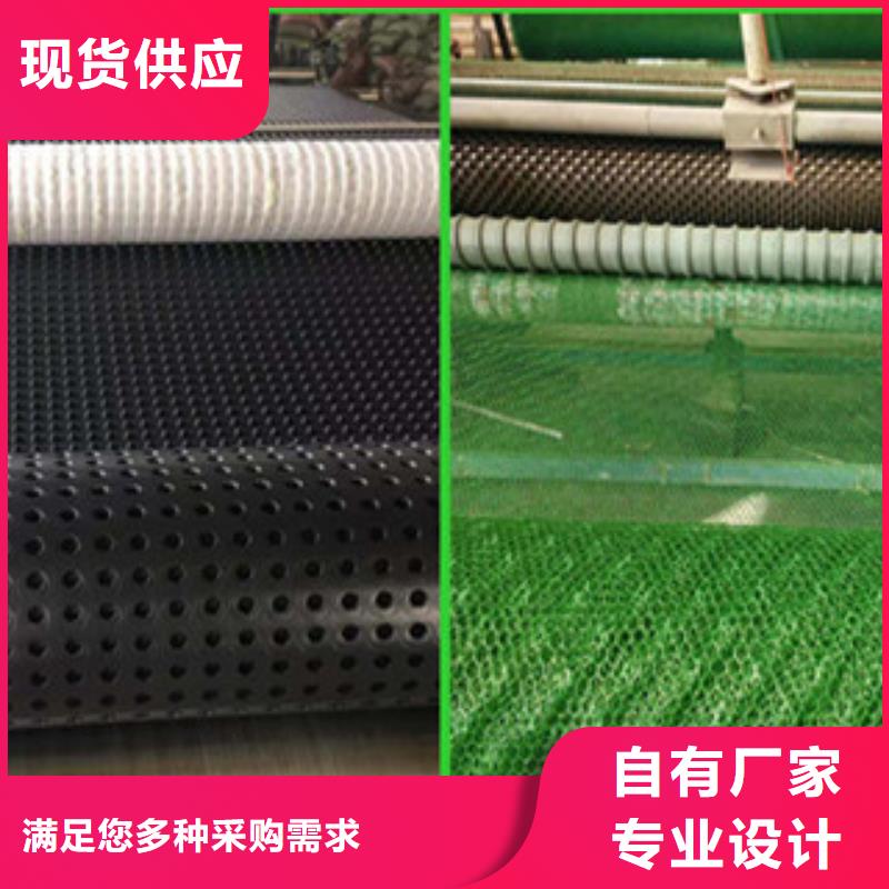 【塑料排水板玻纤土工格栅源头厂家】