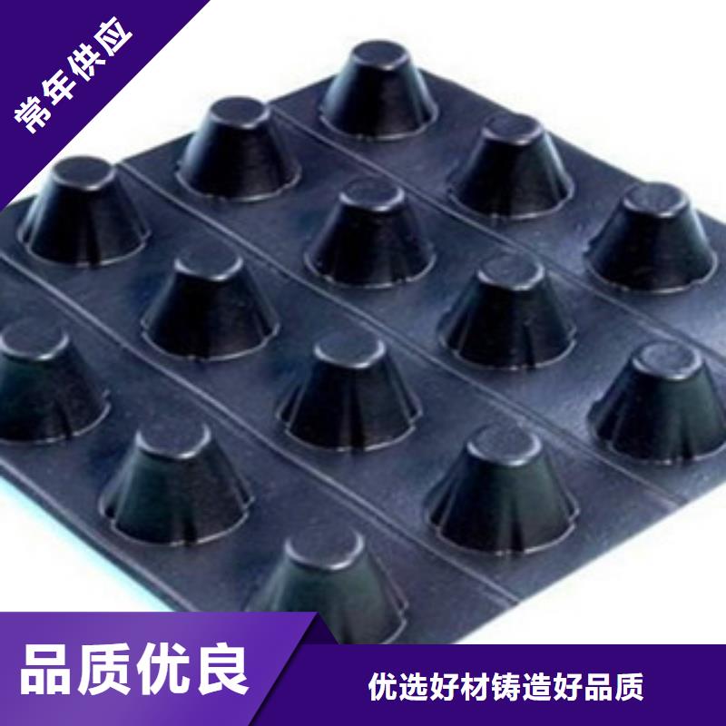 【塑料排水板】钢塑土工格栅货到付款