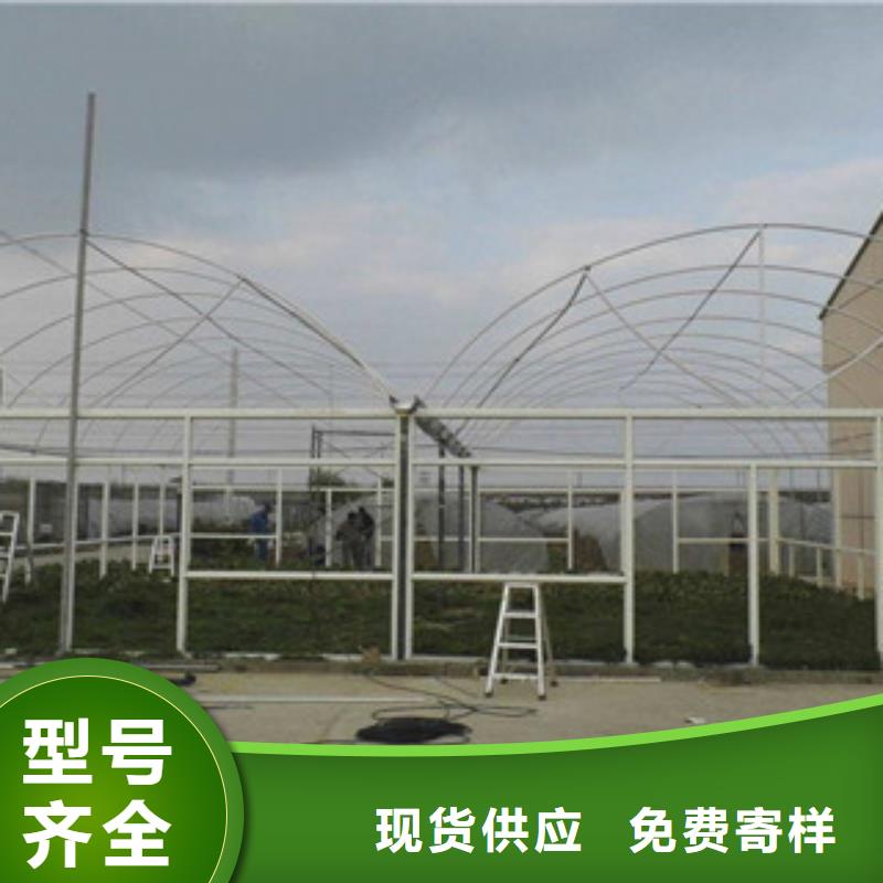 【大棚管,镀锌钢管服务始终如一】