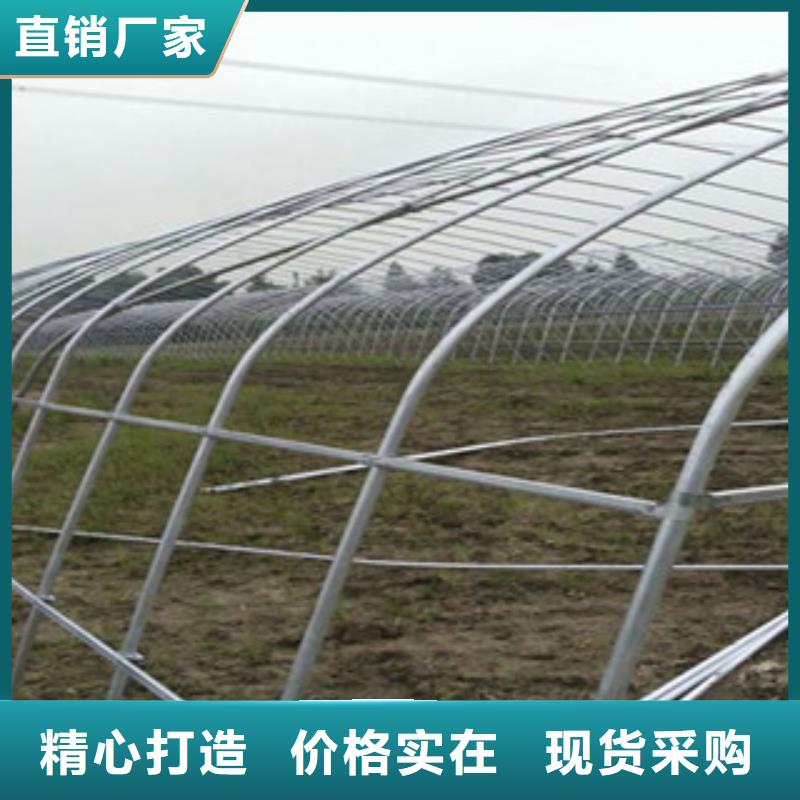 大棚管_精密钢管应用领域