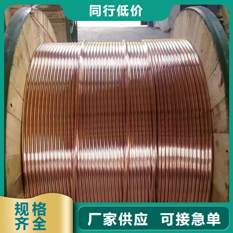 【铜绞线】-紫铜排源头厂家量大价优